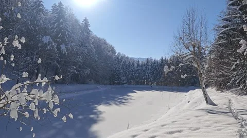 Frozen pond in the winter Stock Footage 326051770