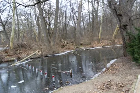 Frozen Pond in Winter Forest Foto stock