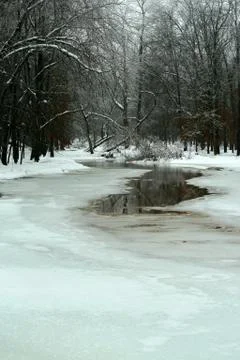 Frozen pond in winter Stock-Fotos