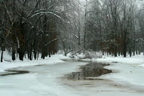 Frozen pond in winter Stock Photos