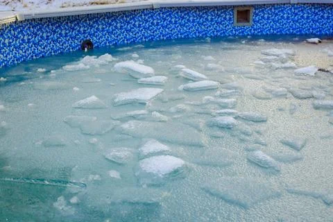Frozen pool water with ice chunks and blue tiled surroundings in a cold winter Foto stock