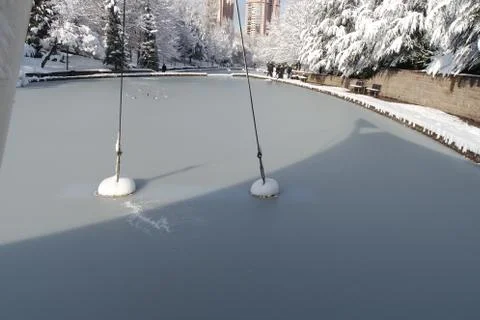 Frozen pool winter Stock Photos