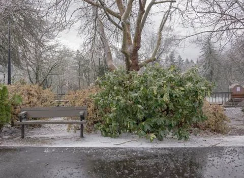 Frozen public park Gresham Oregon. Stock Photos