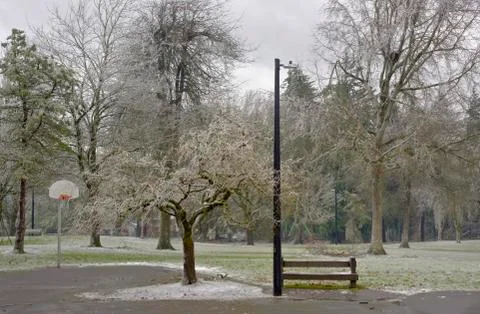 Frozen public park Gresham Oregon. Foto stock