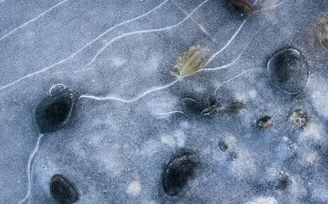 Frozen puddle and rocks Stock Photos