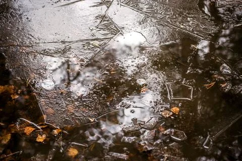 Frozen puddle in autumn Stock Photos