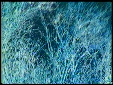 Frozen Puddle, Bare Branches, and Snowy Mountains – Negative Montage Vídeo Stock 348117277