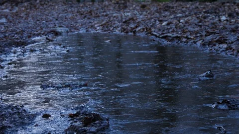 Frozen puddle broken with a branch 動画素材 123218153