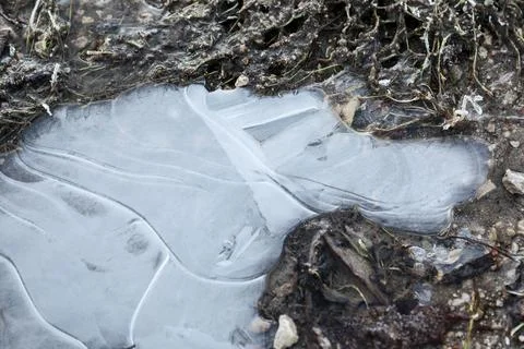 Frozen puddle. Cold temperatures and weather changes Stock Photos
