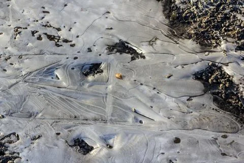 A frozen puddle on the ground. Stock Photos
