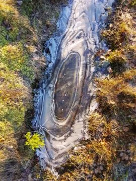 Frozen puddle in muddy forest floor - top view. Stock Photos