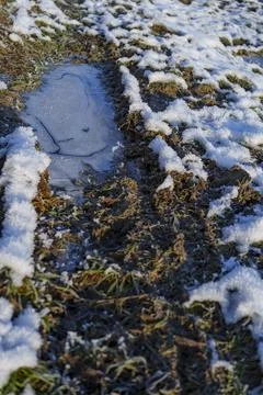 Frozen puddle in muddy track with snow Stock Photos