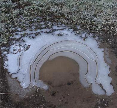 Frozen puddle Stock Photos