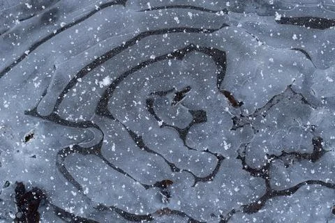 Frozen puddle Stock Photos