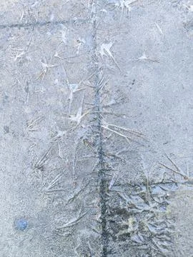 Frozen puddle on the road forming intriguing patterns. Stock Photos