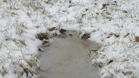 Frozen puddle in snow covered grass snow storm Stock Footage 103295710