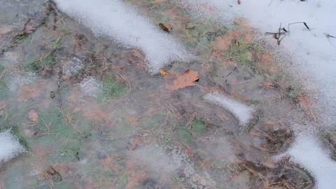 Frozen puddle in a snowy forest path, partially iced over with thin, cracked  Fotos de archivo