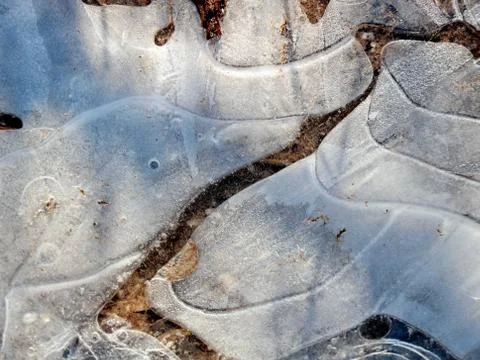 Frozen puddle in the sun Stock Photos