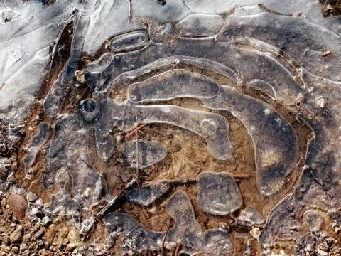 Frozen puddle in the sun Stock Photos