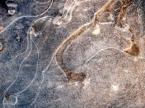 Frozen puddle in the sun Stock Photos