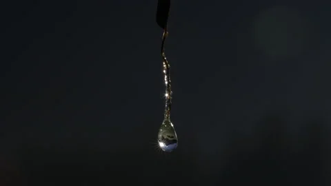 Frozen raindrop reflecting sun Stock Footage 229116017