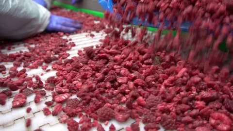 Frozen raspberries Stock Footage 114568294