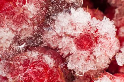 Frozen raspberries Stock Photos