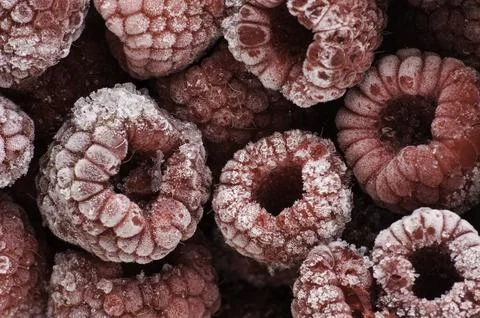 Frozen raspberries Stock Photos