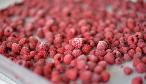 Frozen raspberry berry Stock Photos