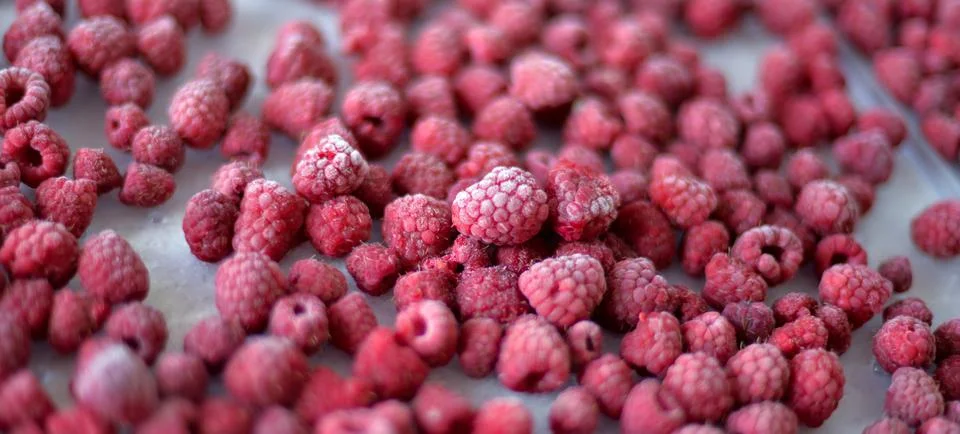 Frozen raspberry berry Stock Photos