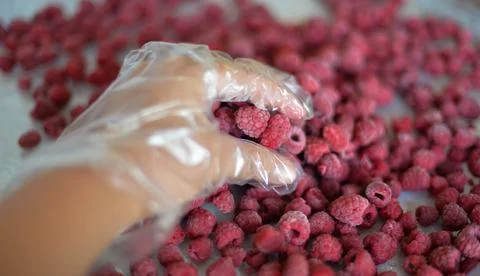 Frozen raspberry berry Stock Photos