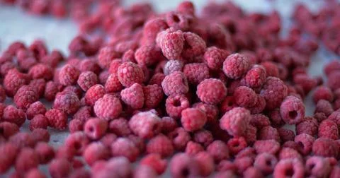 Frozen raspberry berry Stock Photos