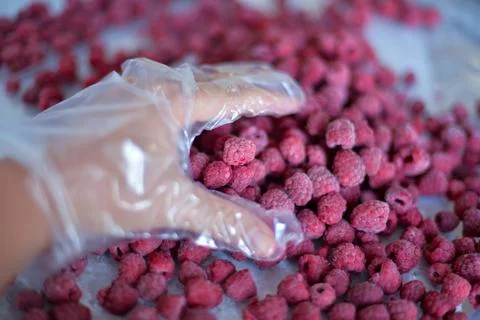Frozen raspberry berry Stock Photos