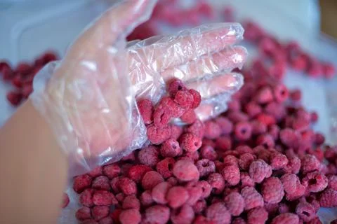Frozen raspberry berry Stock Photos