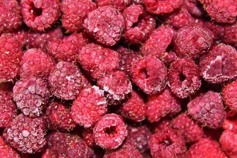 Frozen raspberry Stockfoto's