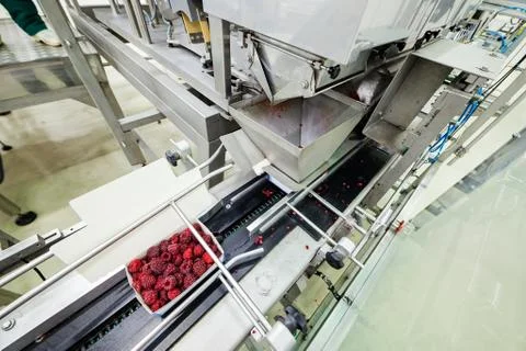 Frozen raspberry processing business Stock Photos