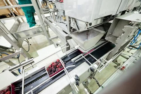 Frozen raspberry processing business Stock Photos