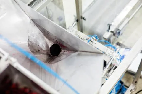 Frozen raspberry processing business Stock Photos