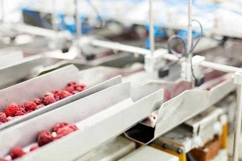 Frozen raspberry processing business Foto stock