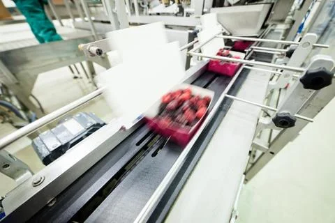 Frozen raspberry processing business Stock Photos