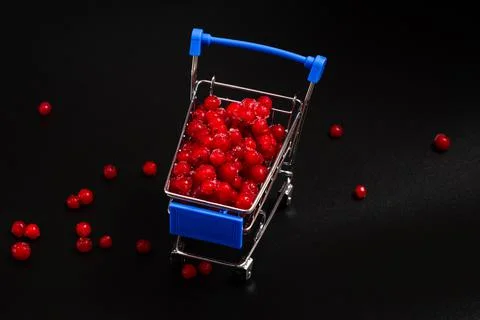 Frozen red currant berries in a small shopping cart on a black background. Stock Photos