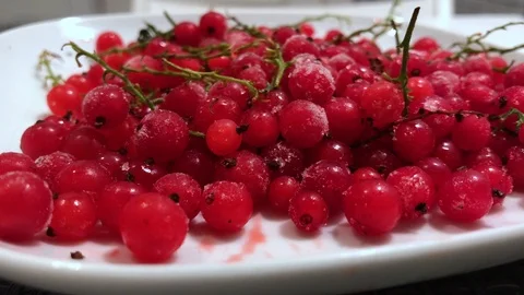 Frozen red currants close up. 10 Stock Footage 98469856