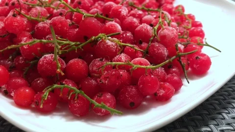 Frozen red currants close up. 11 Stock Footage 98469852