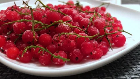 Frozen red currants close up. 12 Stock Footage 98469851