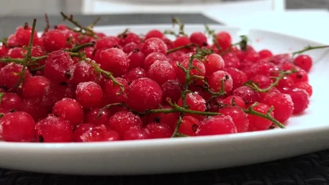 Frozen red currants close up. 14 Stock Footage 98469845