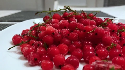 Frozen red currants close up. 16 Stock Footage 98469831