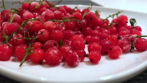 Frozen red currants close up. 17 Stock Footage 98469825