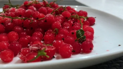 Frozen red currants close up. 18 Stock-Footage 98469824