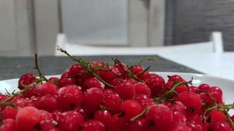 Frozen red currants close up. 19 Stock Footage 98469821