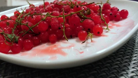Frozen red currants close up. 2 Stock Footage 98469886